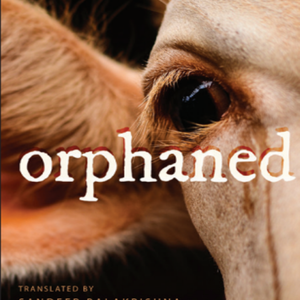 ORPHANED